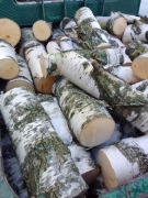 Brzoza na opał brxoza