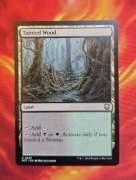 Tainted Wood karta MTG 