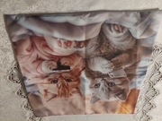 Nowa poszewka na poduszkę "śmieszne kotki ",wymiary 44/43