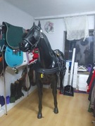 Uprząż singlowa duży cob biothan 