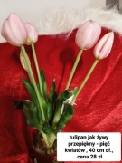 Tulipan silikonowy w trzech kolorach