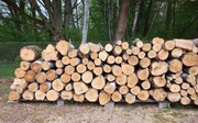 Okazja! Brzoza drewno kominkowe opałowe