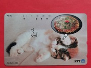 JAPONIA      - Karta telefoniczna  /  ODMIANA  /  KOTY