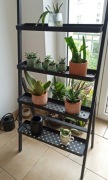 Kwietnik zewnętrzny Salladskal 
