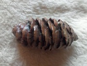 Spinka - Ozdobna klamra do włosów nr 70