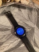 Smartwatch Garmin Fenix 5 