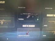 Konto do valoranta za 200zl