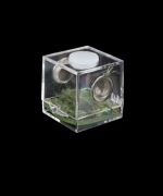 Micro terraria akrylowe 3,5x3,5x3,5cm z wystrojem i wentylacją - 10 sztuk