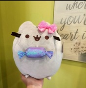 Pusheen z cukierkiem śliczny! 