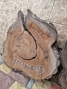 Plaster Drewna Orzech Włoski 76/72/9 cm Blat Stół Stolik DIY Wysuszony