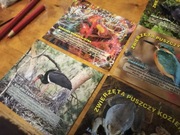 Zwierzęta Puszczy Kozienickiej naklejki 7 szt