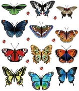 Kolorowe motyle i biedronki na ścianę 3D 12szt