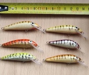 Wobler TP HM pstrąg , troć zestaw 6szt 