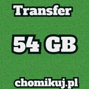 TRANSFER CHOMIKUJ 54 GB BEZTERMINOWO