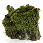 MECH DO TERRARIUM KM63  14/14/14