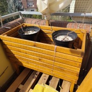 DREWNIANA DONICA OGRODOWA SKRZYNKA DUŻA Kolor Dąb