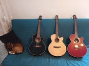 DIAGNOSTYKA INSTRUMENTU gitara klasyczna akustyczna elektryczna GRATIS !!!