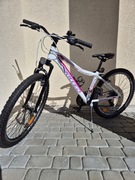 Rower SKL Lena Skilledbike 