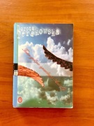 Dorota Terakowska Tam,gdzie spadają anioły 