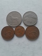 Irlandia każda inna 