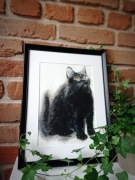 Ola Skowron "Czarny kot" akwarela - Black Cat