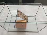 Akwarium dla chomika z półką i domkiem, idealny na prezent na święta