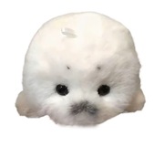 Biały pluszowy brelok z foką – miękka zawieszka do kluczy i auta