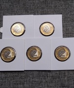  2 zł złote 2006 r Obiegowe. 5 sztuk Menniczych Monet PROSTO Z WORECZKA 