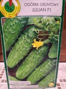 Ogórek gruntowy 'Julian F1' nasiona