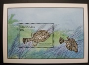 !!! GRENADA RYBY - PIĘKNY BLOK CZYSTE** !!! 