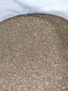 Facelia anabela 15kg bez oprysków 