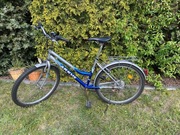 Rower Damski na miasto i do lasu