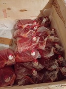 Sok tłoczony z maliny