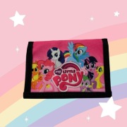 Portfel młodzieżowy 