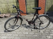 Rower wheeler 900 mountain pro line