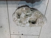 Kamień ozdobne skałka do akwarium - jaskinie 