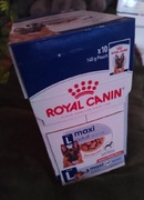 Royal Canin saszetki 