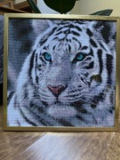 Mozaika diamentowa Biały tygrys