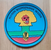 Pluton rozpoznania skażeń MON 