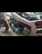 Silniki Gaznik Krućce GS500