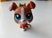 Littlest pet shop LPS 