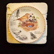 Kolekcja talerzy Wedgwood -  Birdwatcher`s Notebook. (3szt)