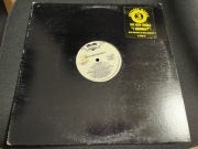 Brother Makes 3 - I Wanna? VG/VG Garage House