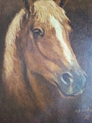 Prof.Eberhard Rechlin,obraz olej,płótno,portret konia