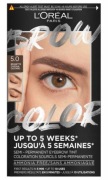 L'Oréal Paris BROW COLOR 5.0 Brunette makijaż brwi zestaw do brwi 