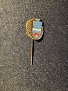 Odznaka - SPN Kraków