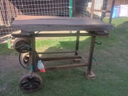 Piła krajzega siła