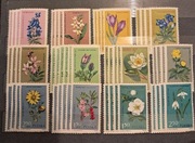 Znaczki kolekcjonerskie - kwiaty chronione