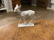 Sarenka Miśnia I Gatunek