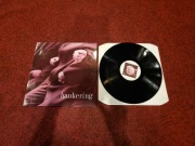 1007. LP Winyl Hankering – For Success RP 30041 Germany alternatywa indie